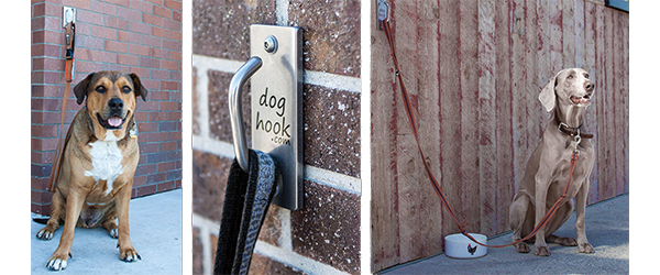 Dog leash hot sale wall hitch